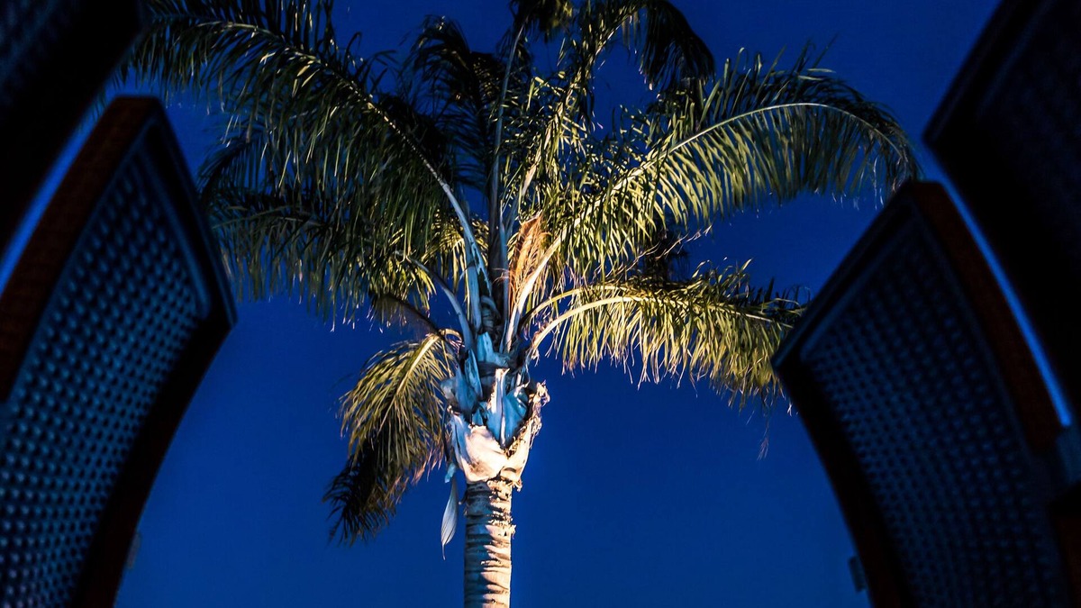 Vounaria Apartment | Colonides Beach Hotel