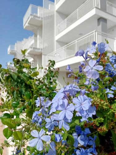 Capitolo Apartment | Color Dream Residence