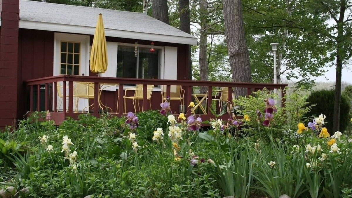 Lake Ann Cottage | Colorful, Cozy Cottage on Pearl Lake