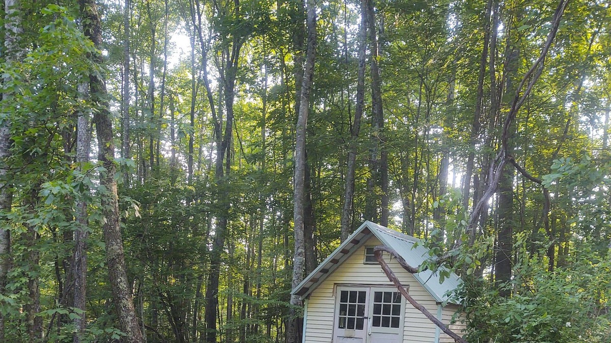 Millpoint Cabin | Come check out the yeti triangle it's off grid camping at its best pet friendly