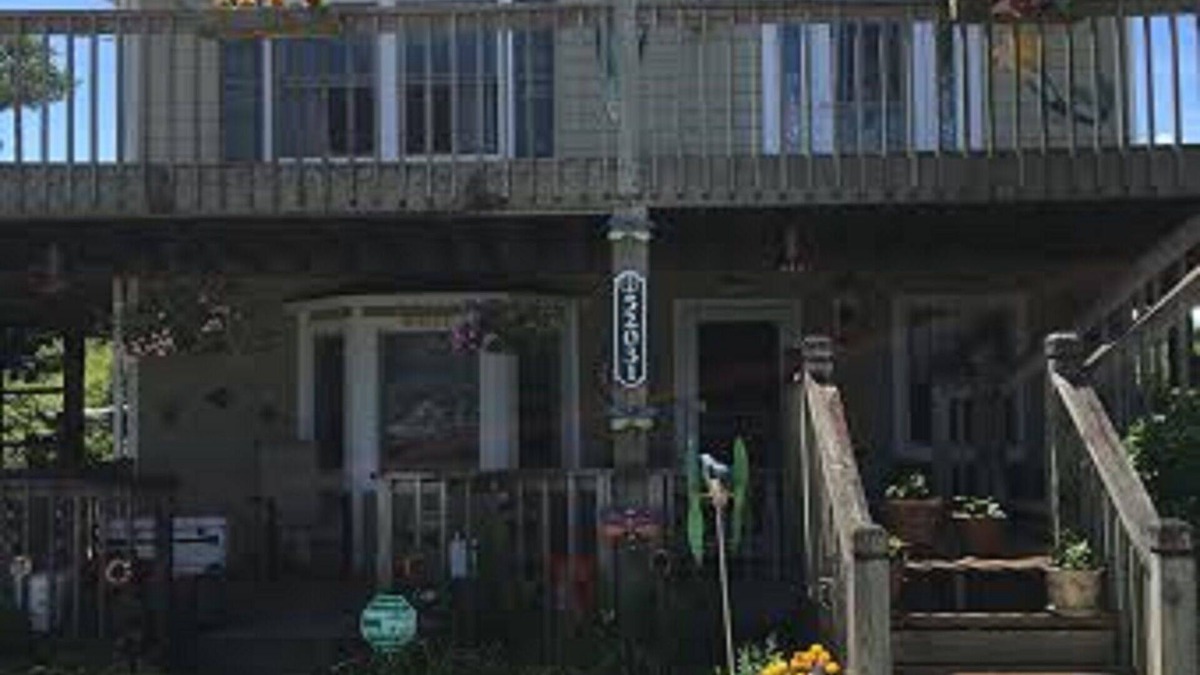 Frisco Apartment | Come enjoy the privacy of the woods with all the Cape Hatteras past times nearby