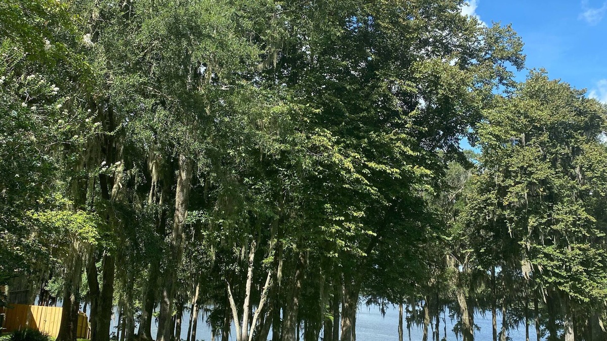 Lake Park House | Come stay and relax at the elegant Bienvenue Bed and Breakfast Inn