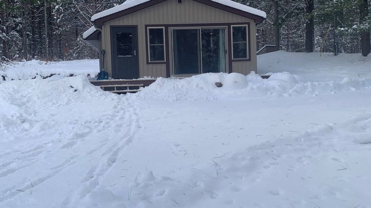 Grayling Cabin | Come take a walk in our woods.