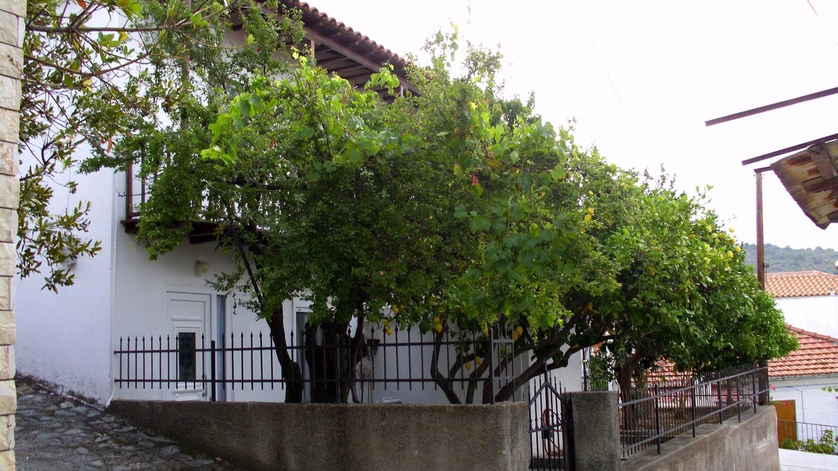 Glossa House | Come vacation in a hilltop village on a Greek island overlooking the Aegean Sea