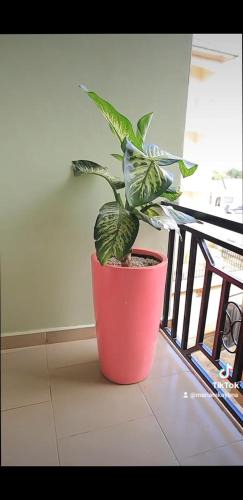 Kampala Apartment | Comfort furnished apartments