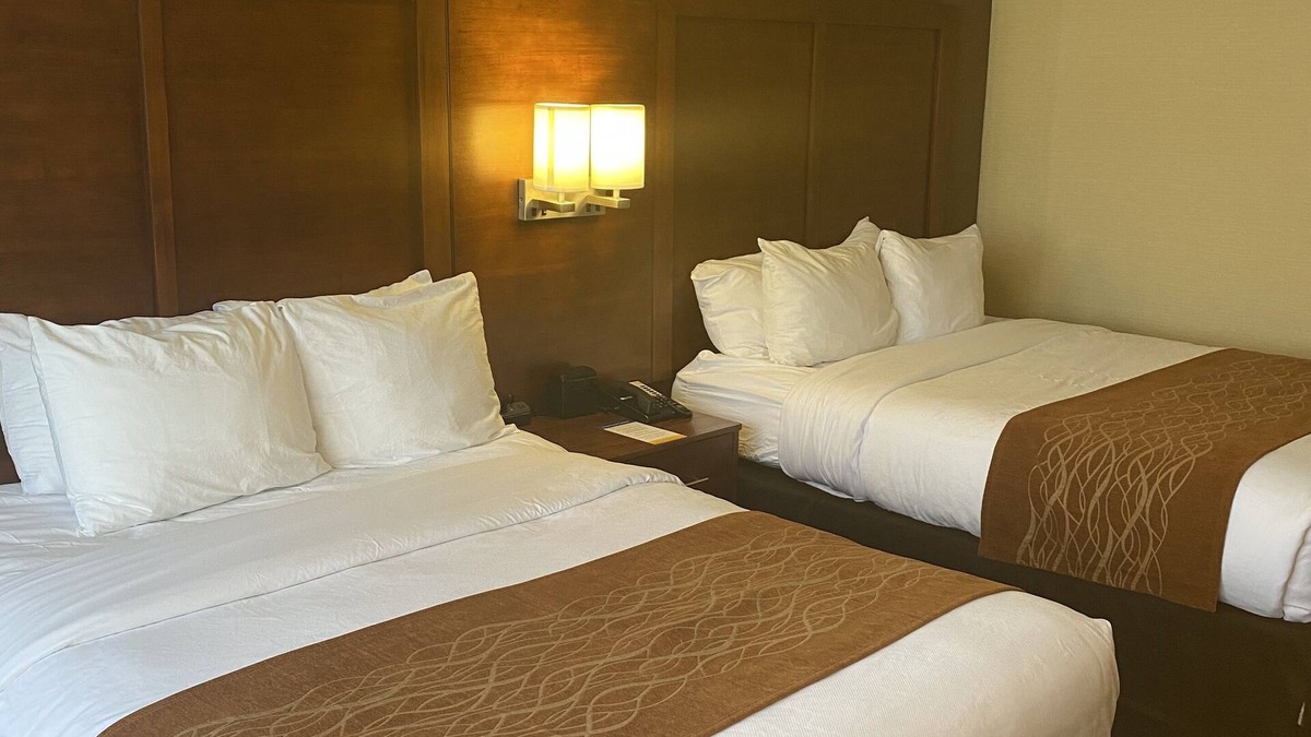 Springfield Hotel | Comfort Inn - Springfield