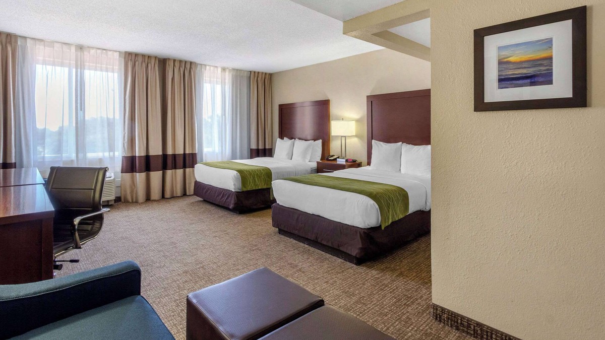 St. Petersburg - Clearwater Hotel | Comfort Inn St Petersburg North