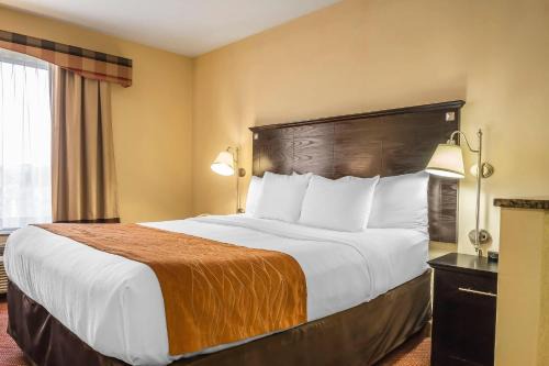 Queens Hotel | Comfort Inn & Suites LaGuardia Airport