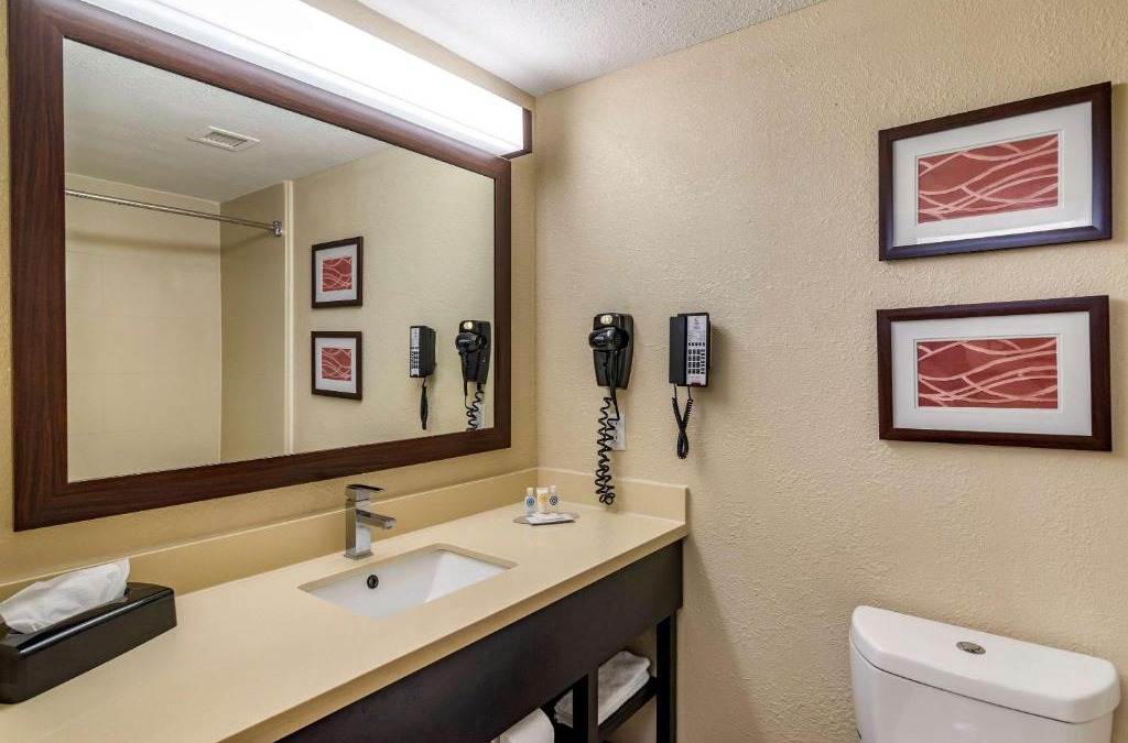 Lithia Springs Hotel | Comfort Inn & Suites near Six Flags