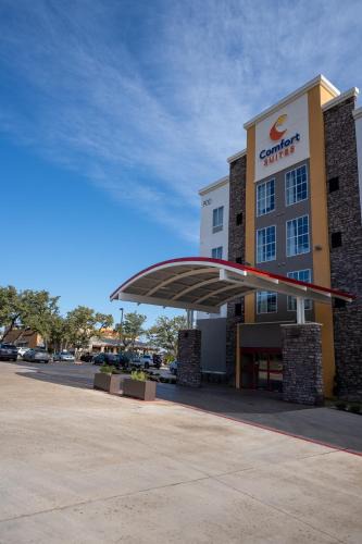 Cedar Park Hotel | Comfort Suites Cedar Park - Austin Northwest