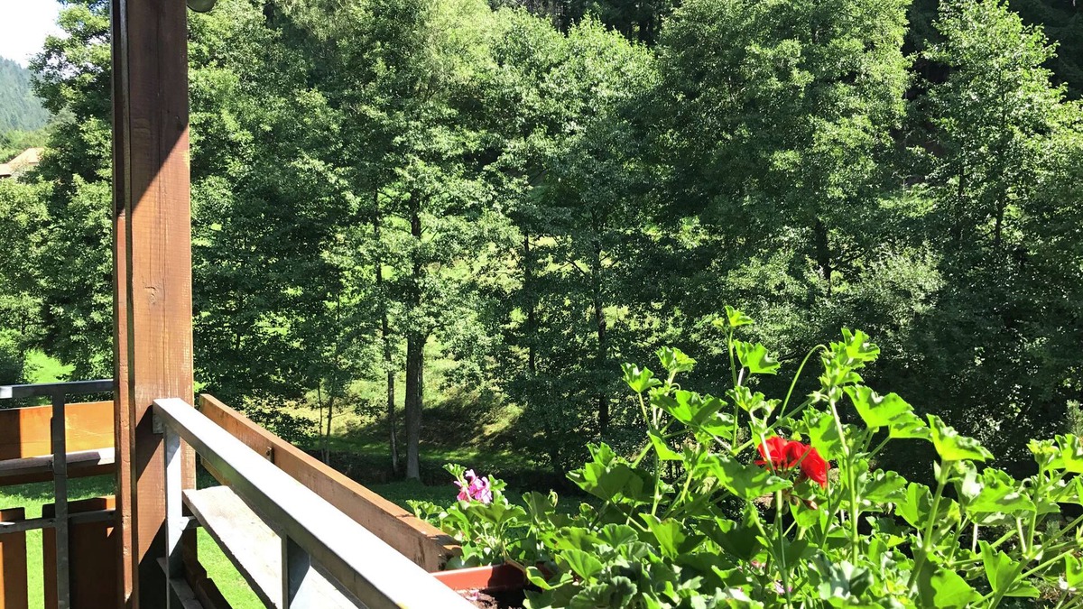 Obertal Apartment | Comfortable apartment in Baiersbronn with balcony