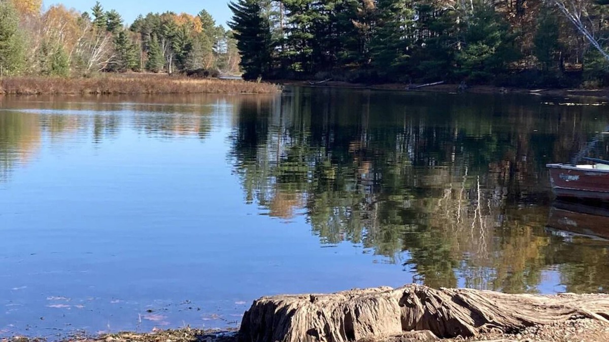 Hayward Cabin | Comfortable 3 Bedroom Cabin On the Shores of Lake Chippewa Flowage in Hayward WI