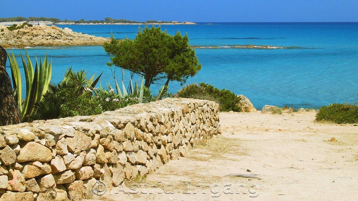 Sos Alinos Apartment | Comfortable apartment with a little garden, not far from beautiful beaches