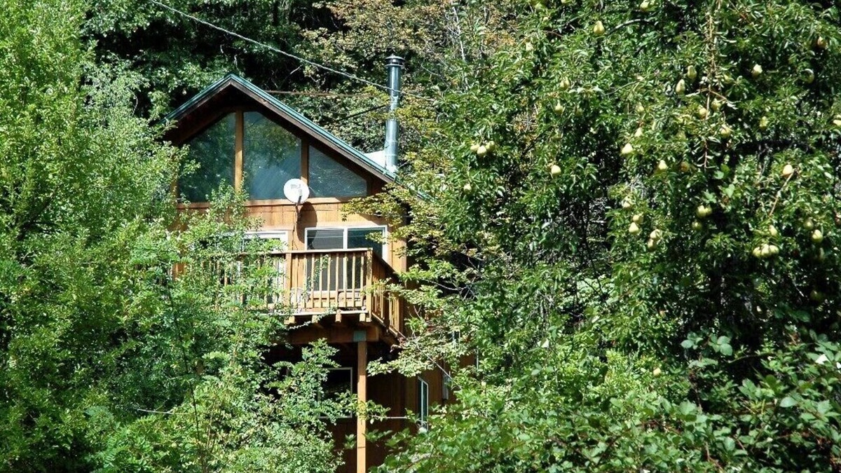 Sierra City Cabin | Comfortable Quiet Cabin In A Quaint Mountain Town