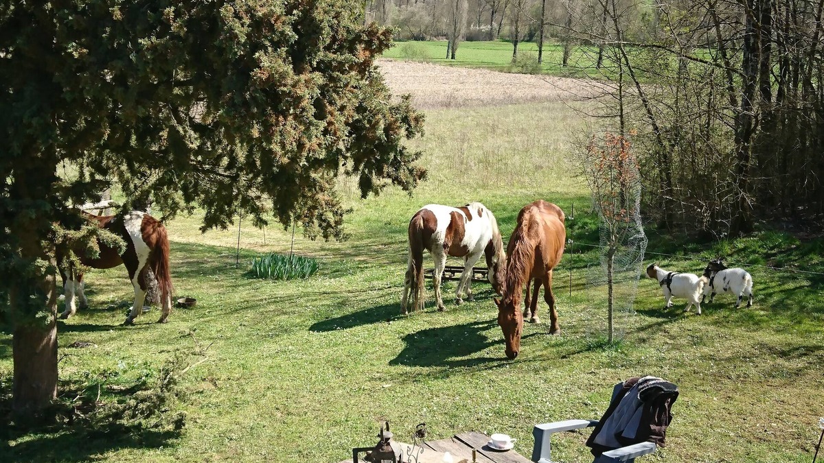 Serignac House | Comfortable Quiet House in the countryside Porte-du-Quercy for 8 people
