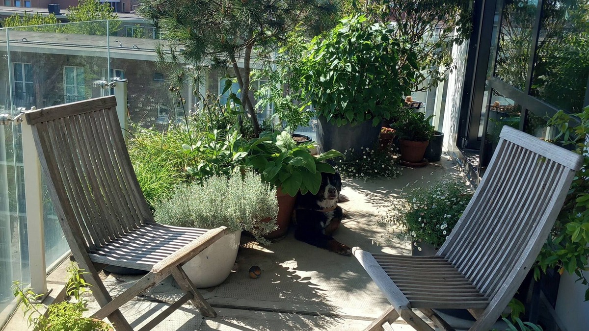Bos en Lommer Apartment | Comfortable & stylish family apartment in Amsterdam West. Pet friendly!