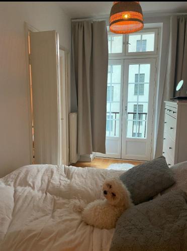 Toolo Apartment | Compact one-bedroom apartment in Taka-Töölö