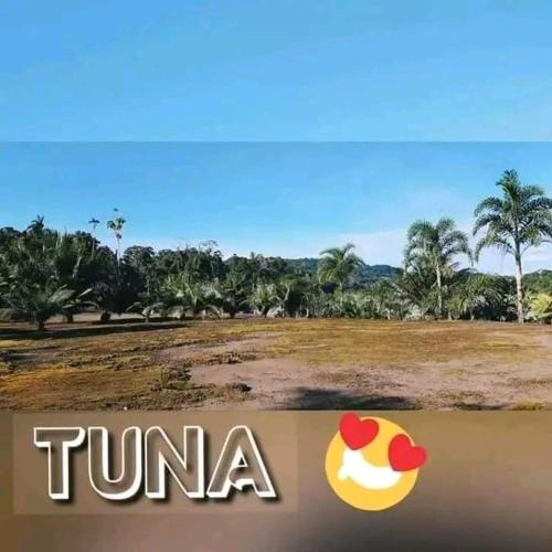 Pastaza Cabin | Comunidad Ecoturistico TUNA ARUTMA JEE