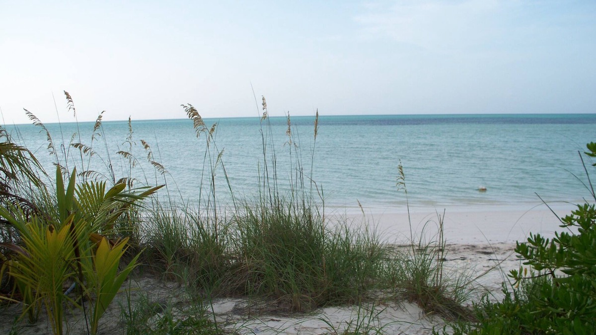 Spanish Wells Cottage | Conched Out Island Cottage, golf cart and ocean kayak included