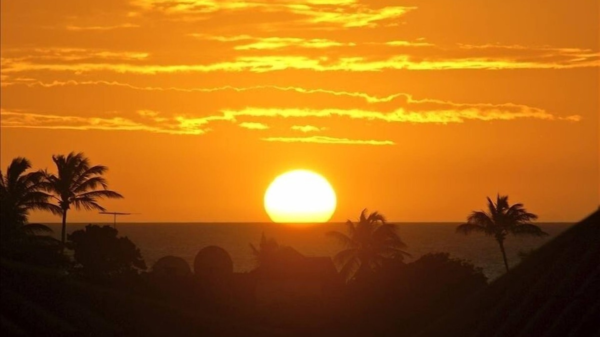 Oranjestad-West Condo | Condo Penthouse - Amazing Views! Complete private rooftop