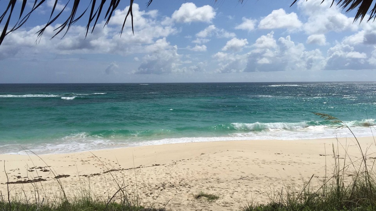 James Cistern Condo | Condo w/Views, Beach, Htd Pool, Pickleball, Golf Cart, Gym,Walk to Restaurant