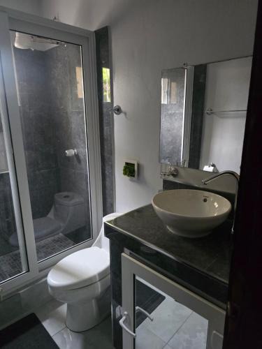 Sector 2 Apartment | Condominios 0101