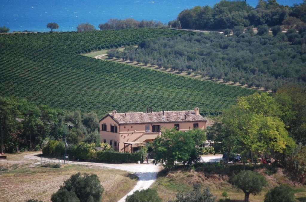 Villaggio Taunus House | Conero mare campagna il Casale Le Maschere appartamenti