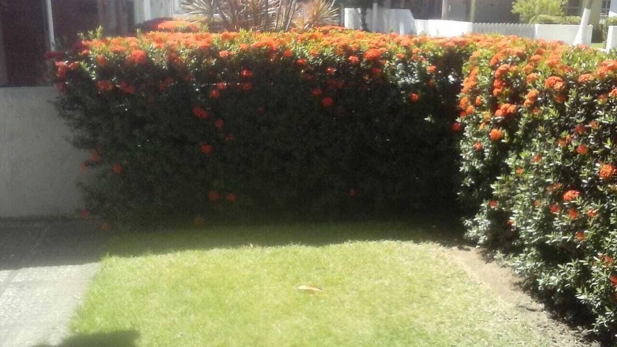 Sao Jose da Coroa Grande House | Conforto e Lazer em Condomínio na Praia