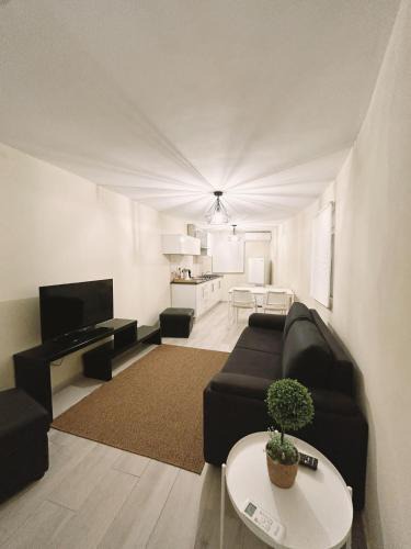Ferreira do Alentejo House | Confort