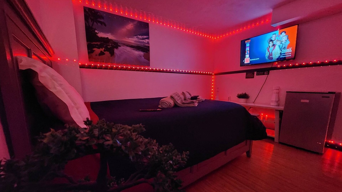 Thornton House | CONFORTABLE SUITE