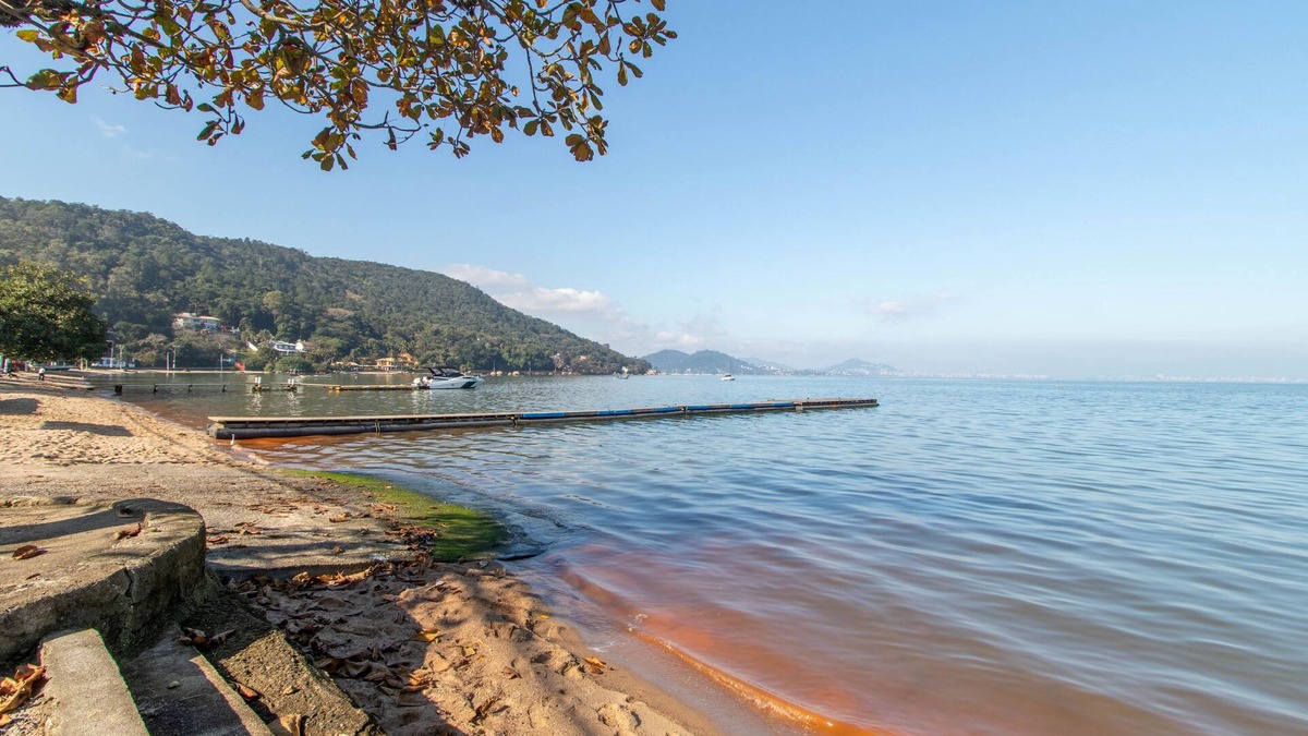 Sambaqui House | Conforto próximo ao mar em Sambaqui RA3329