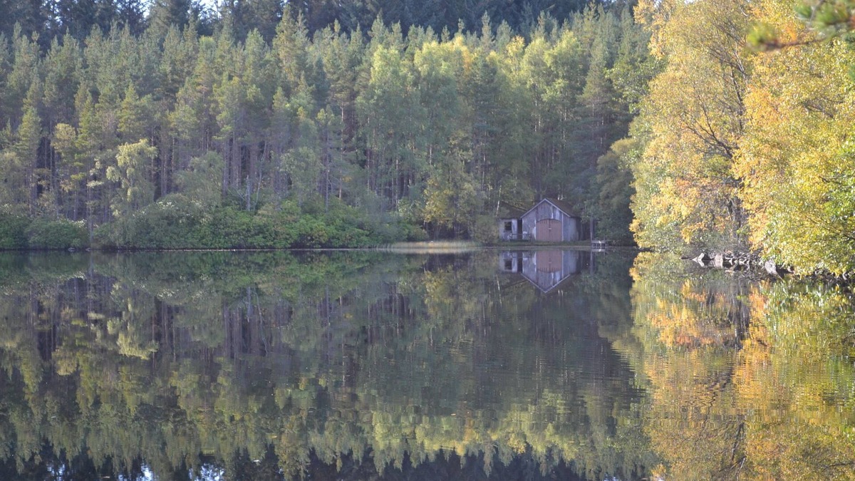 Inverarnie Cabin | Contemporary one bedroom cabin with WiFi
