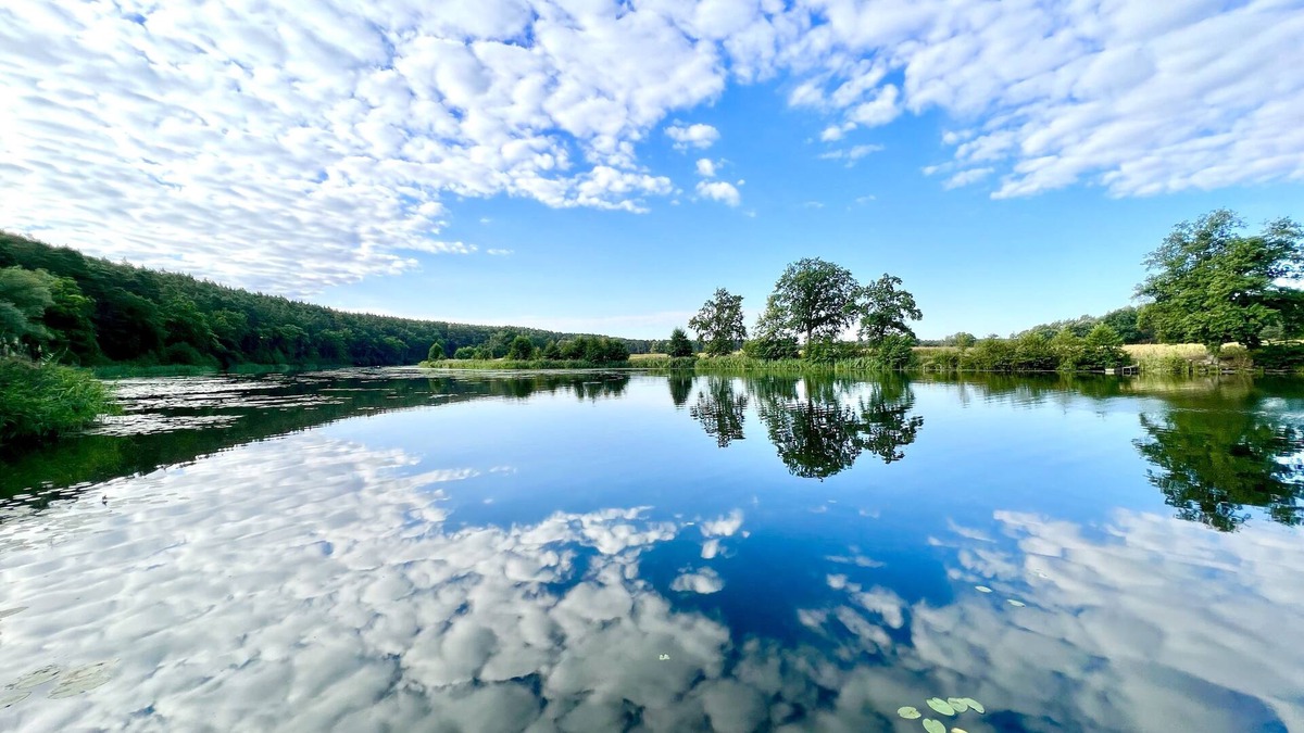 Kamern House | Converted trailers with a special charm right on the lake