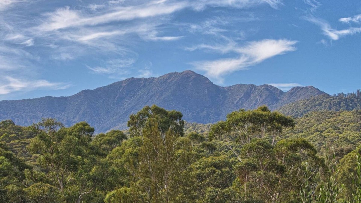 Merrijig House | Cooinda Merrijig - Meaning 'Happy Place' - Perfect for two families.
