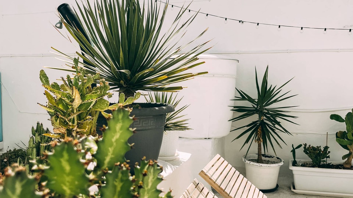 Agaete House | ☀️ Cool Canaria☀️