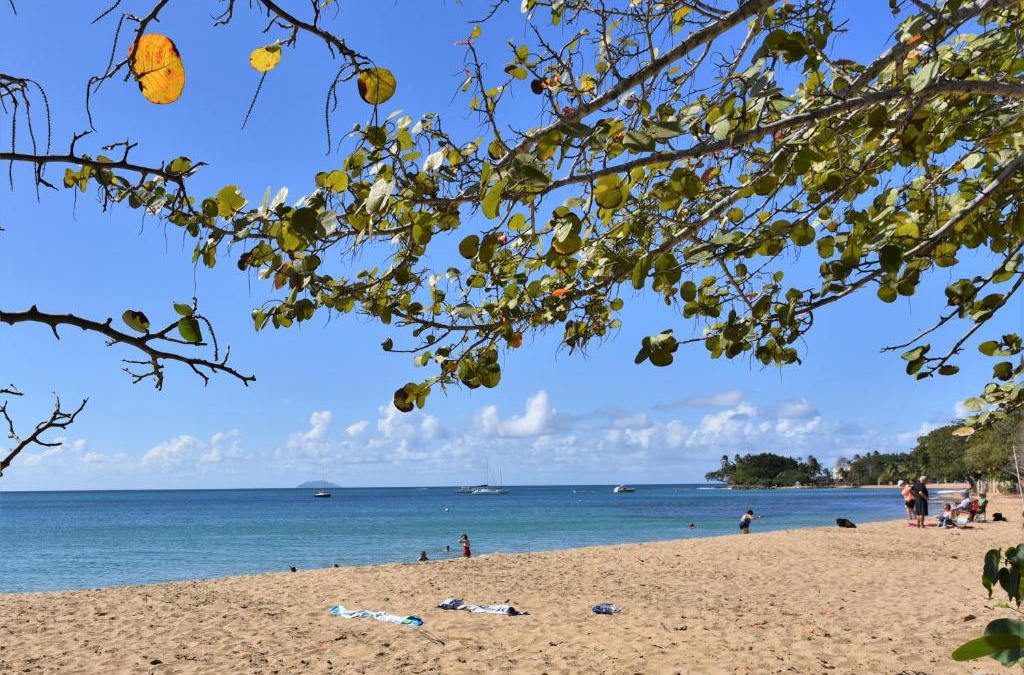 Rincon Apartment | Coqui #3 at Rincon beach, kids and adult pool, beach gate, power and water bup
