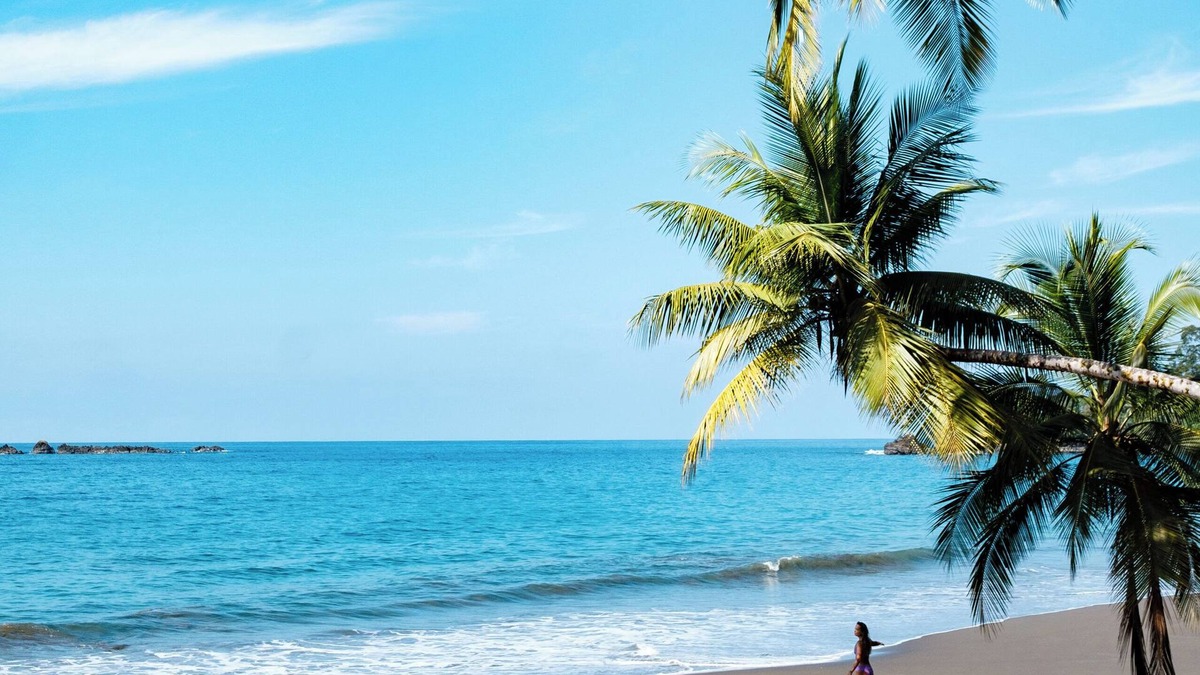 Drake Bay Hotel | Corcovado Wilderness Lodge by SCP