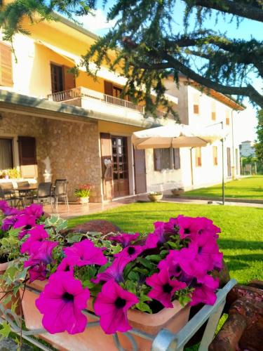 Monteforte d'Alpone House | Corte Ohana