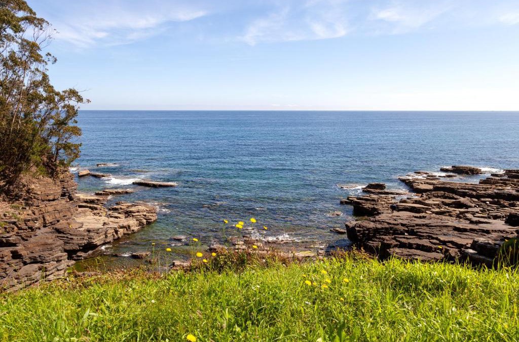 Mendexa House | Costa vasca