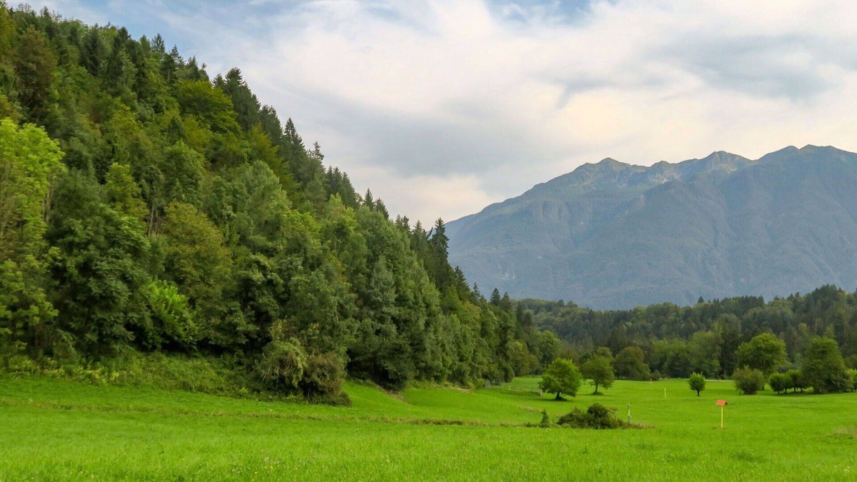 Raveo Apartment | Cosy apartment for 2 people with WIFI, TV, patio and pets allowed