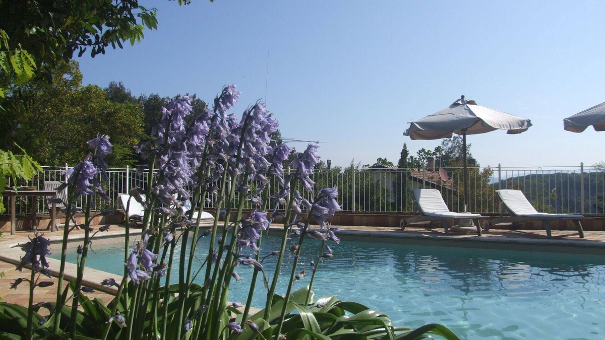 Sassetta Apartment | Cosy apartment for 4 guests with pool, WIFI, TV and patio