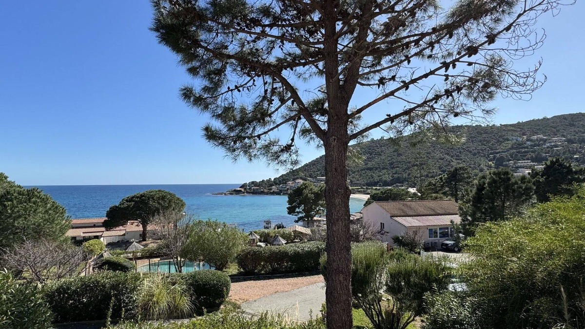 Tarcu Apartment | Cosy apartment for 4 people with A/C, WIFI, pool, terrace, pets allowed and parking