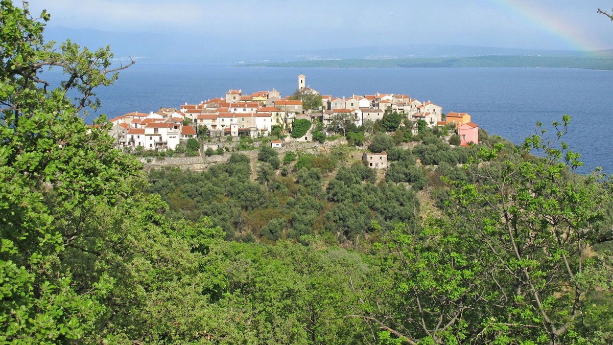 Porozina Apartment | Cosy apartment for 5 guests with WIFI, A/C, TV, terrace, pets allowed and parking