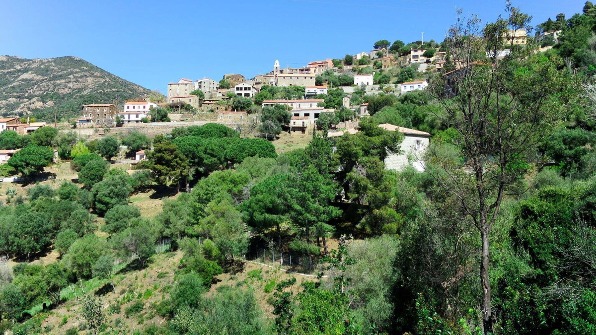 Partinello Apartment | Cosy apartment for 4 people with A/C, WIFI, TV, patio, pets allowed and panoramic view