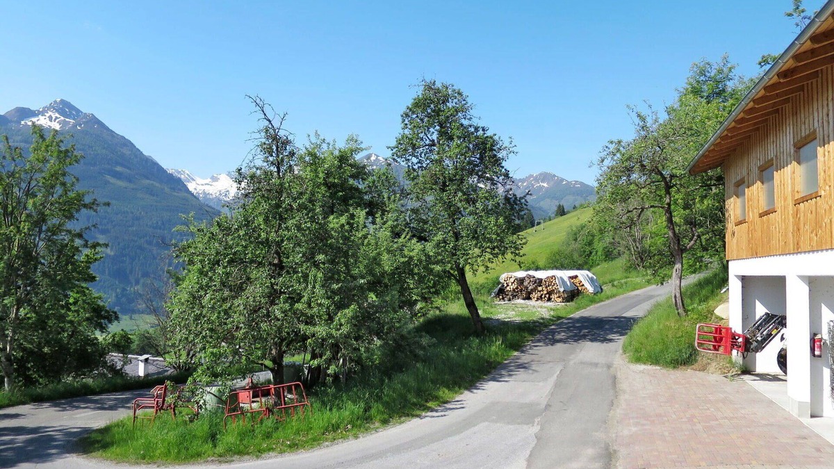 Piesendorf Villa | Cosy apartment in villa for 5 people with WIFI, TV and terrace