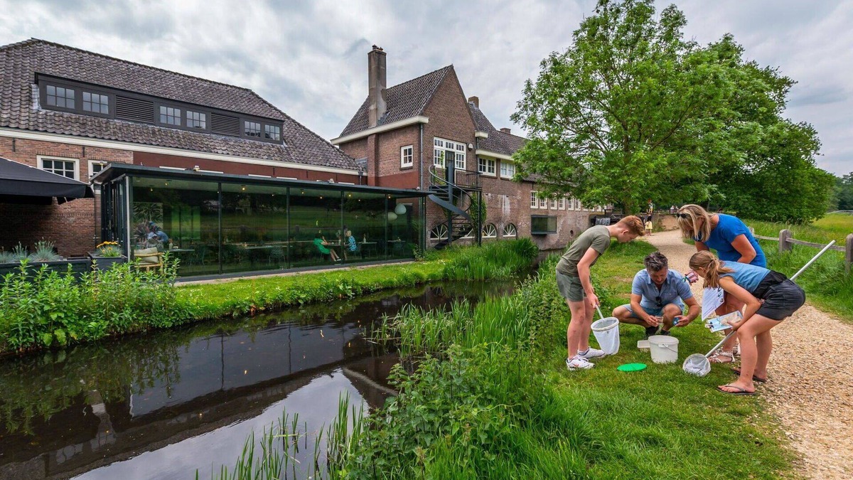 Noordoostelijk van Schaarsbergen House | Cosy apartment in villa for 6 people with WIFI, pool, TV and terrace
