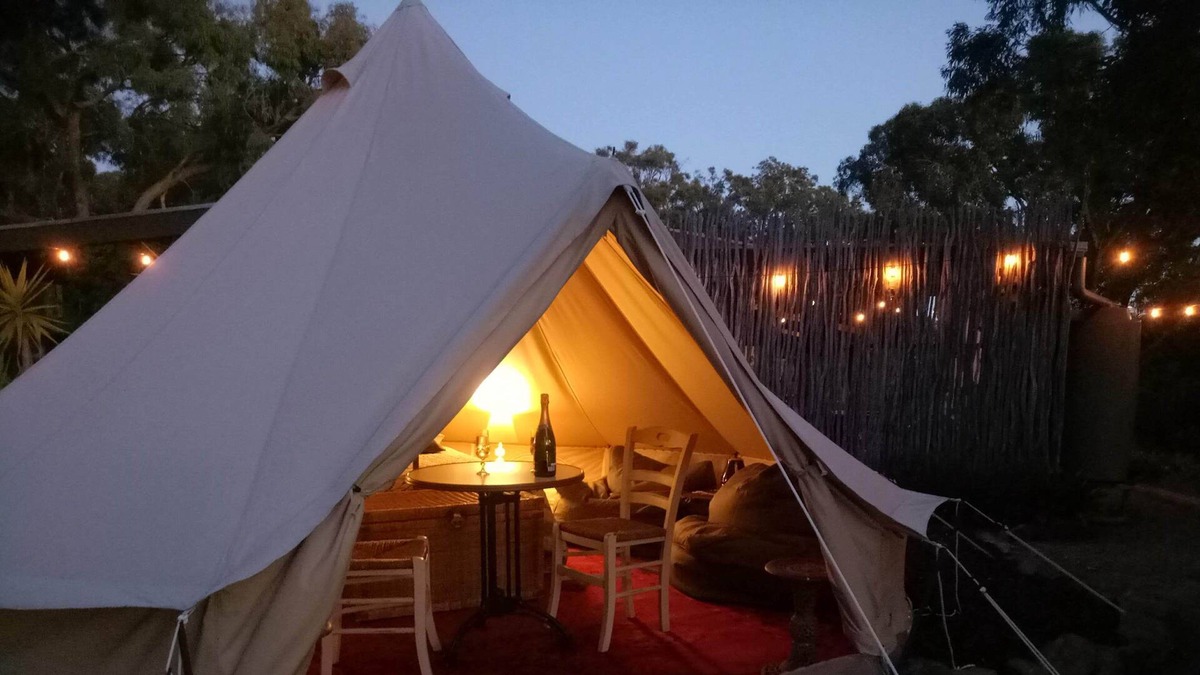 New Gisborne Bed & Breakfast | Cosy Bell Tent With an à la Carte Breakfast and up Close Kangaroo Experience