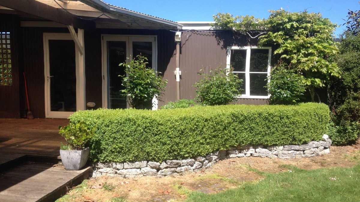 Tahakopa Cabin | Cosy, comfortable cabin in the heart of The Catlins