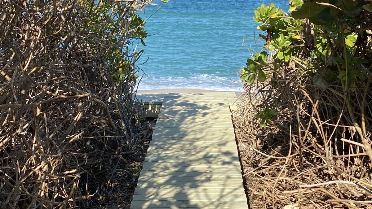 Melbourne Beach Apartment | Cosy ground floor apartment in house on a private beach.