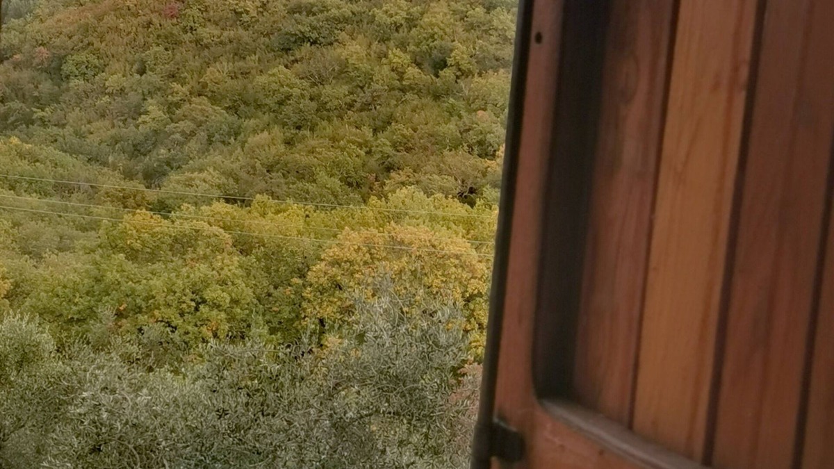 Rignano sull'Arno House | Cosy House into the wild